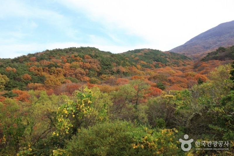 無等山国立公園 (43/45)