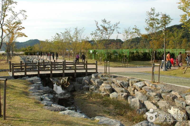 光州湖 湖生態園（광주호 호수생태원） (1/20)