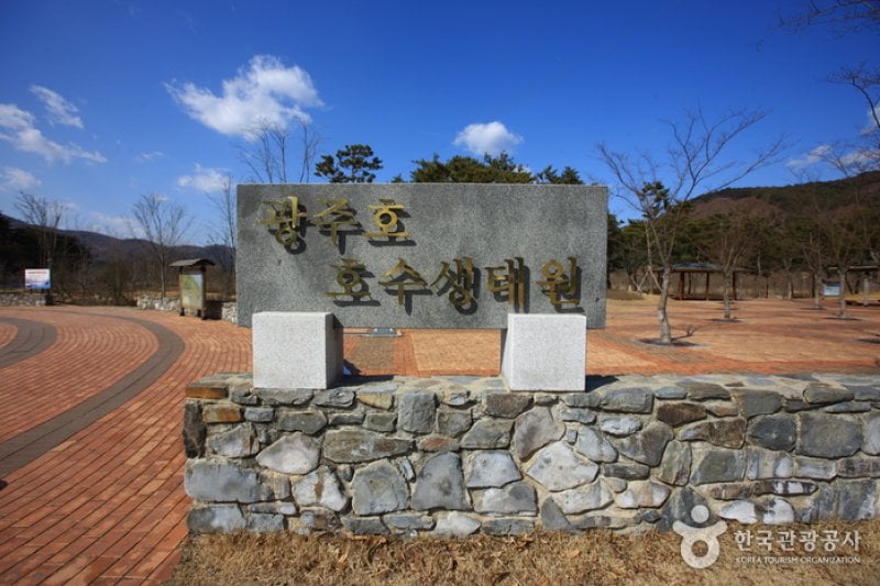 光州湖 湖生態園（광주호 호수생태원） (2/20)