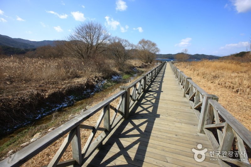 光州湖 湖生態園（광주호 호수생태원） (3/20)