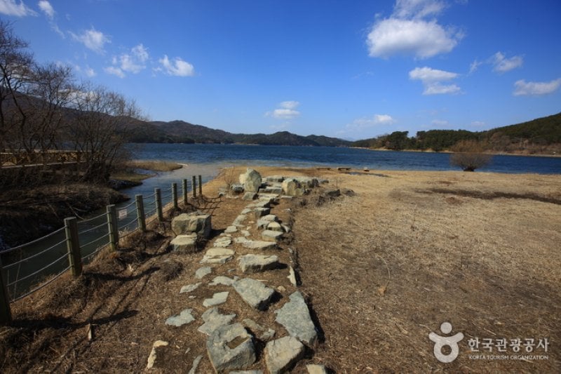 光州湖 湖生態園（광주호 호수생태원） (4/20)