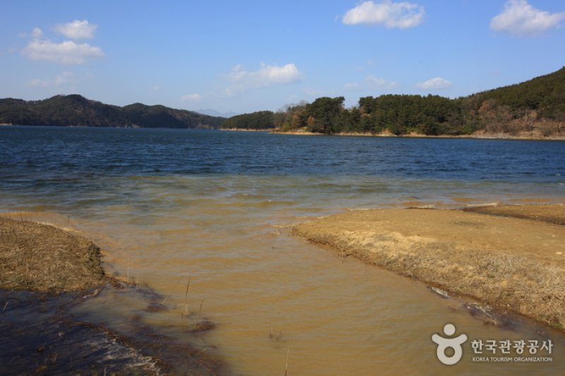光州湖 湖生態園（광주호 호수생태원） (5/20)