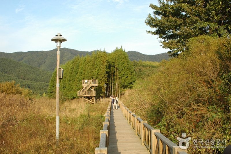 光州湖 湖生態園（광주호 호수생태원） (8/20)