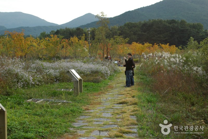 光州湖 湖生態園（광주호 호수생태원） (10/20)