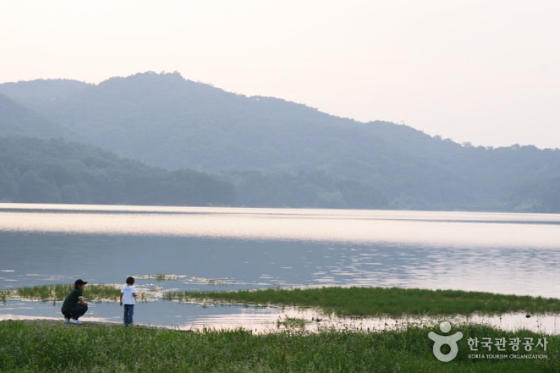 光州湖 湖生態園（광주호 호수생태원） (15/20)