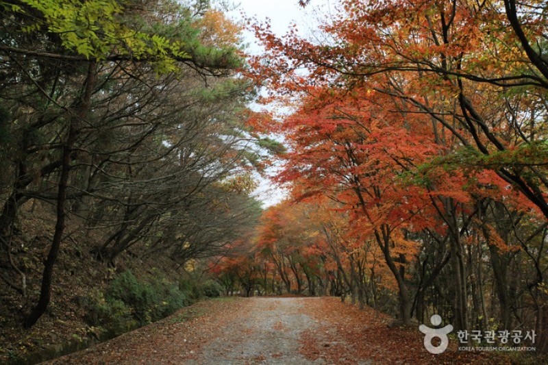 無等山国立公園 (44/45)