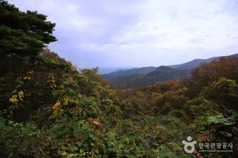 無等山国立公園 (45/45)