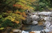 九龍瀑布