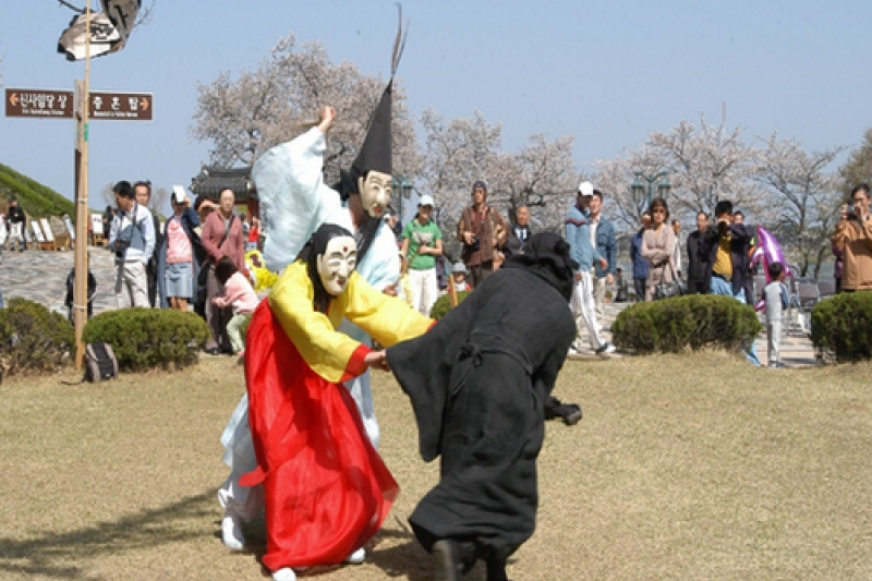 鏡浦台桜祭り (2/4)