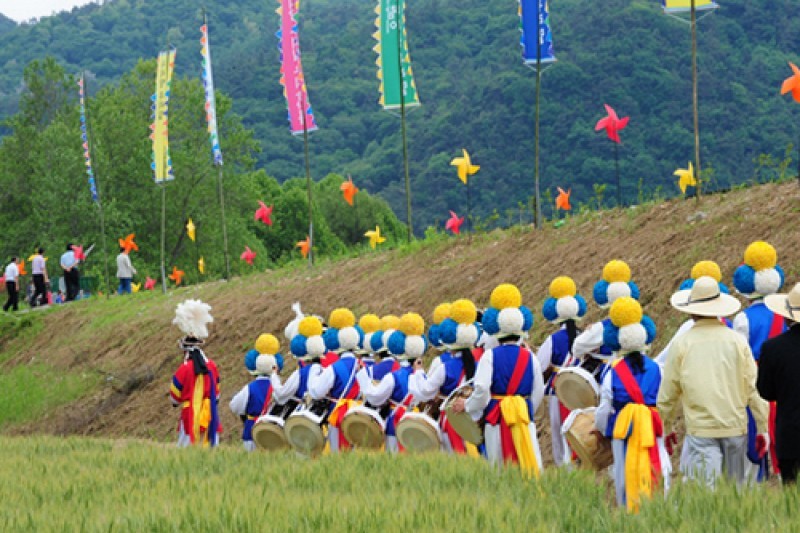 光山韓国麦文化祭り (5/14)