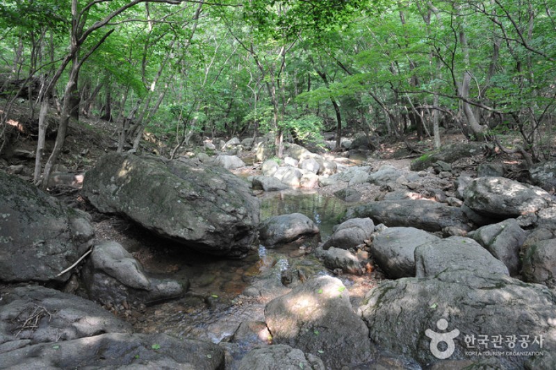 禅雲山 兜率渓谷 (5/8)