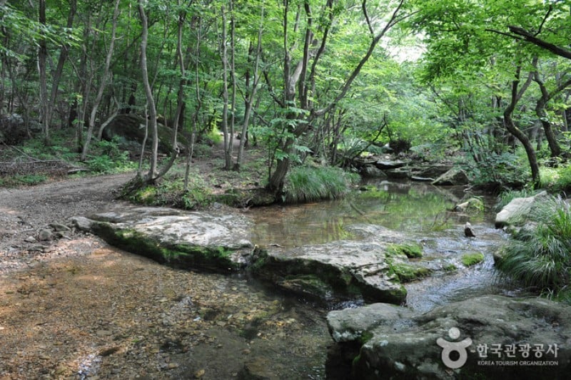 禅雲山 兜率渓谷 (6/8)
