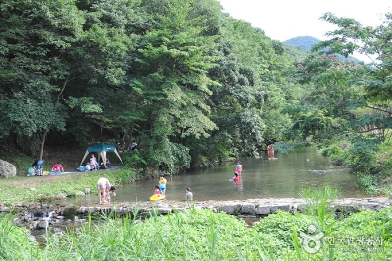 禅雲山 兜率渓谷 (7/8)