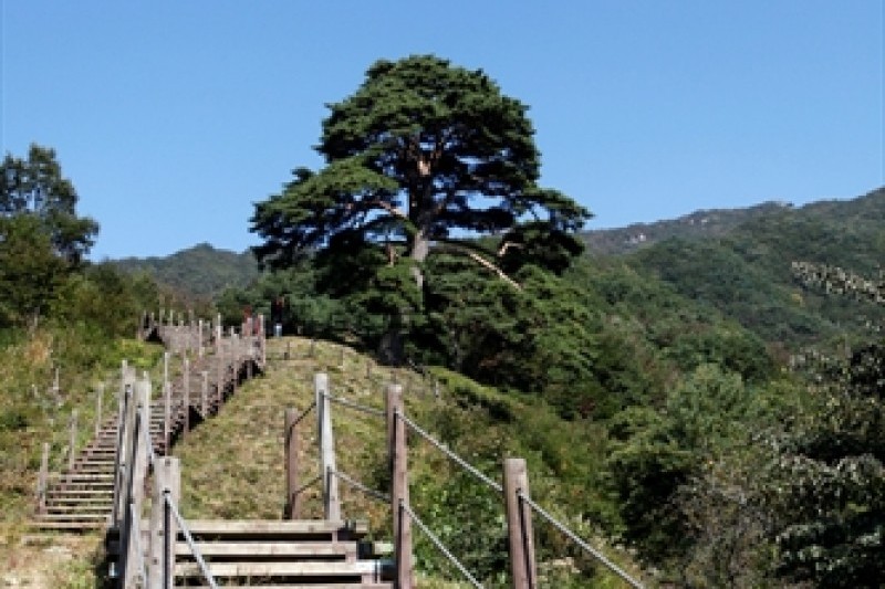 智異山国立公園（南原）（지리산국립공원 (1/2)