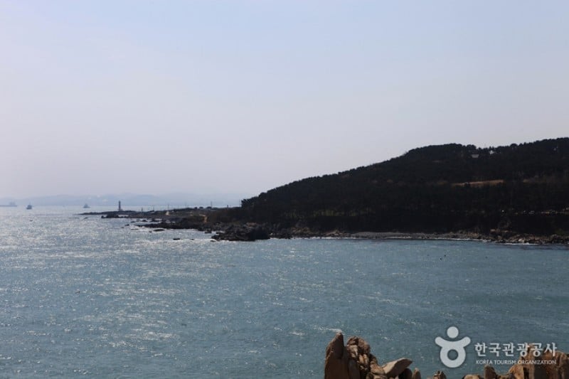 大王岩公園 (1/58)