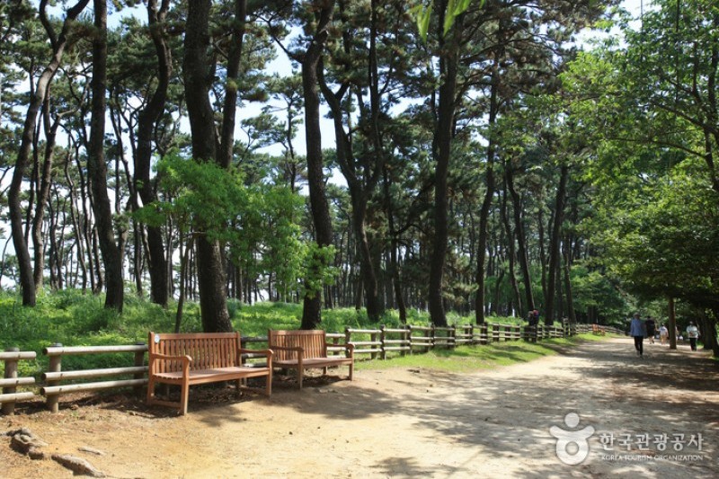 大王岩公園 (2/58)