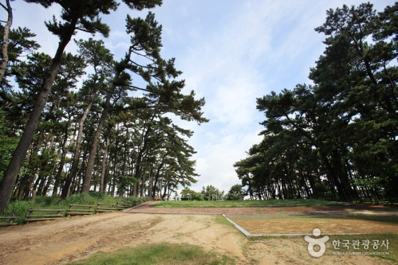 大王岩公園 (3/58)
