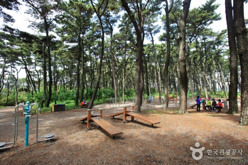 大王岩公園 (4/58)