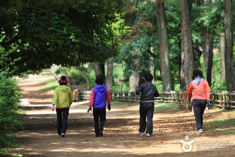 大王岩公園 (5/58)
