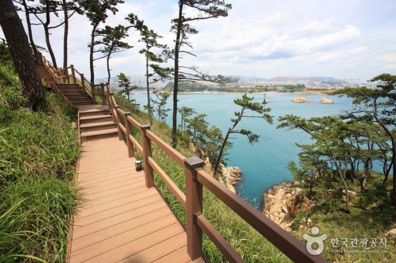 大王岩公園 (34/58)