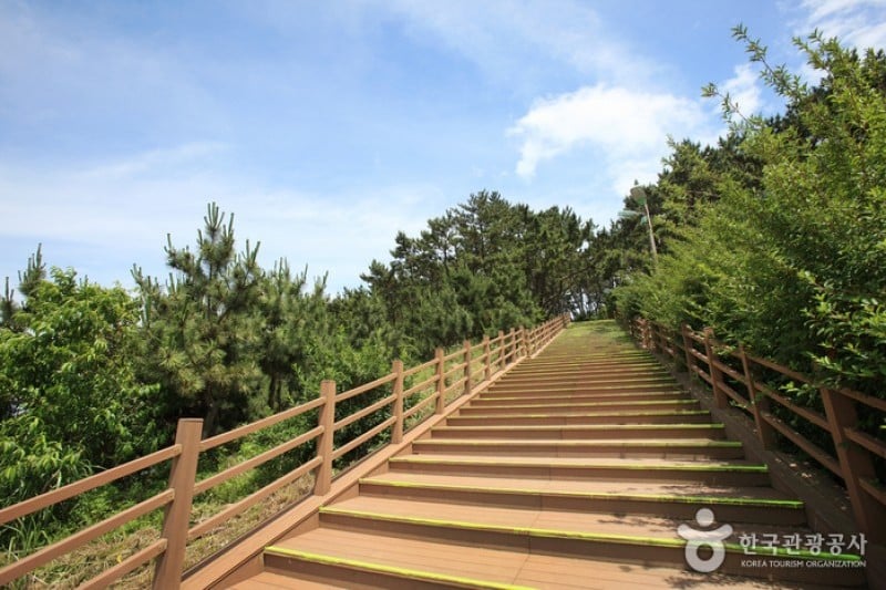 大王岩公園 (37/58)