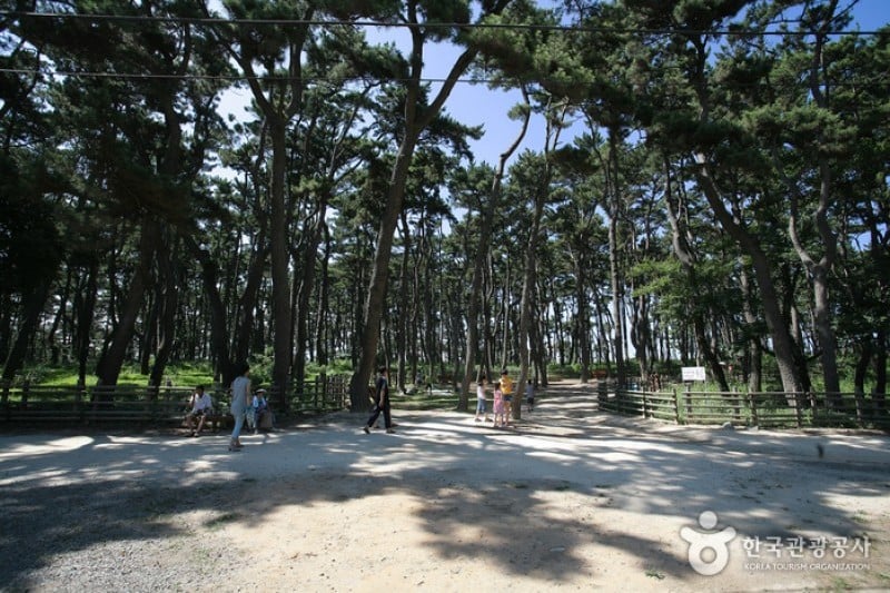 大王岩公園 (48/58)