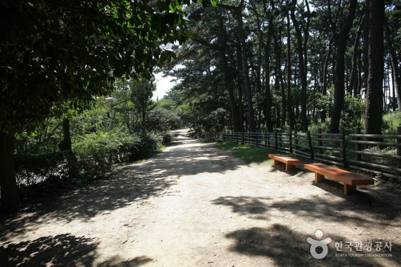 大王岩公園 (49/58)