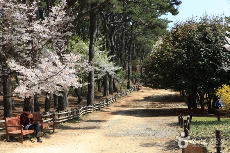 大王岩公園 (51/58)