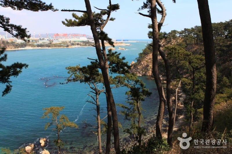 大王岩公園 (53/58)