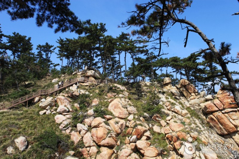大王岩公園 (56/58)