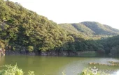 蔚州郡大谷里 盤亀台岩刻画
