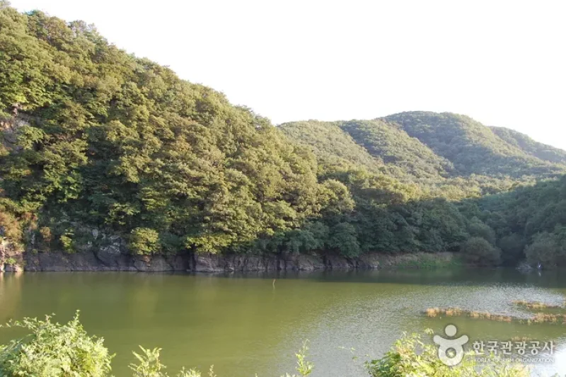 蔚州郡大谷里 盤亀台岩刻画 (1/11)