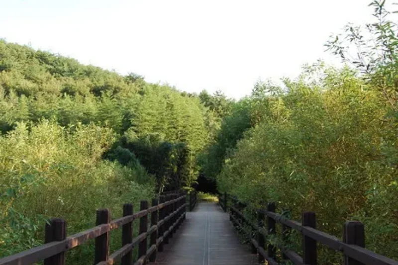 蔚州郡大谷里 盤亀台岩刻画 (5/11)