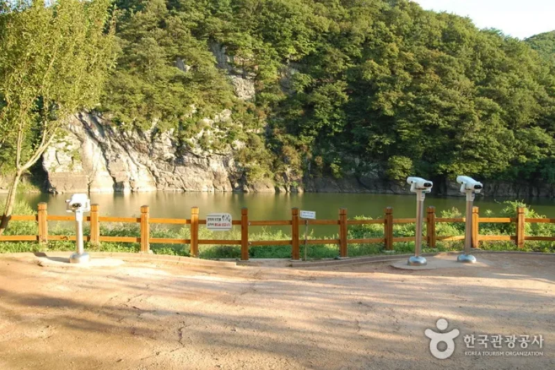 蔚州郡大谷里 盤亀台岩刻画 (8/11)