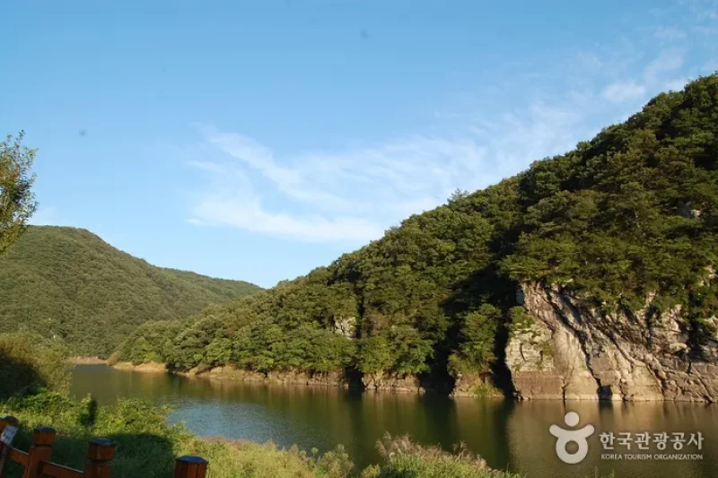 蔚州郡大谷里 盤亀台岩刻画 (10/11)
