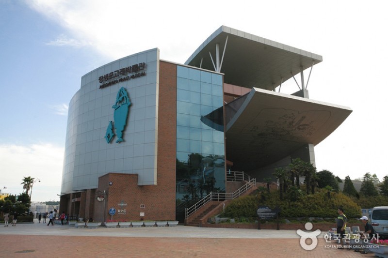長生浦クジラ博物館 (1/8)