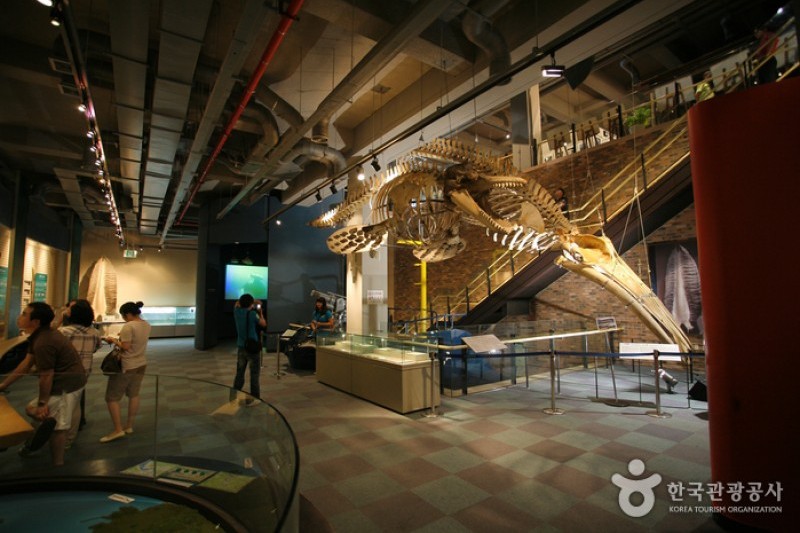 長生浦クジラ博物館 (2/8)