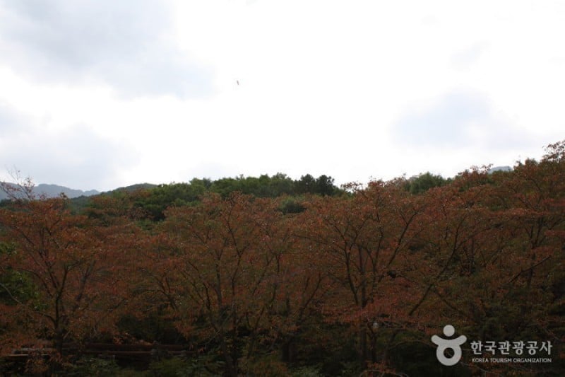神仏山郡立公園 (1/6)