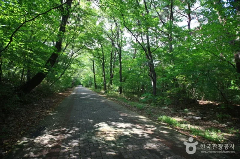 石南寺 (5/18)