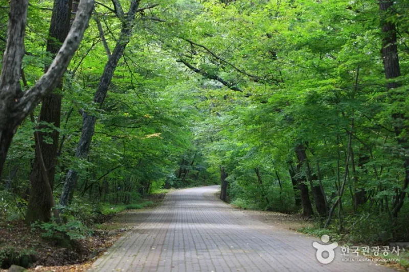 石南寺 (18/18)