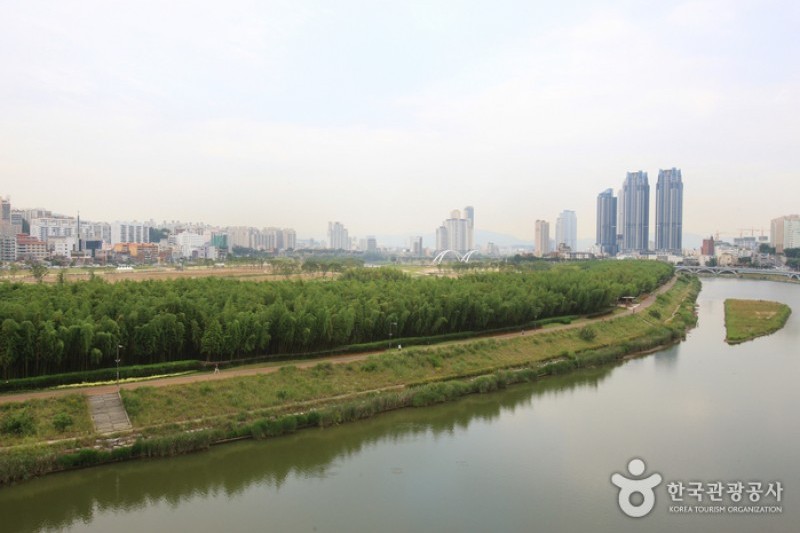 太和江大公園 (2/32)