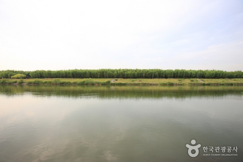 太和江大公園 (6/32)