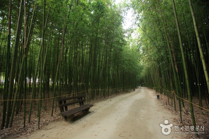 太和江大公園 (7/32)