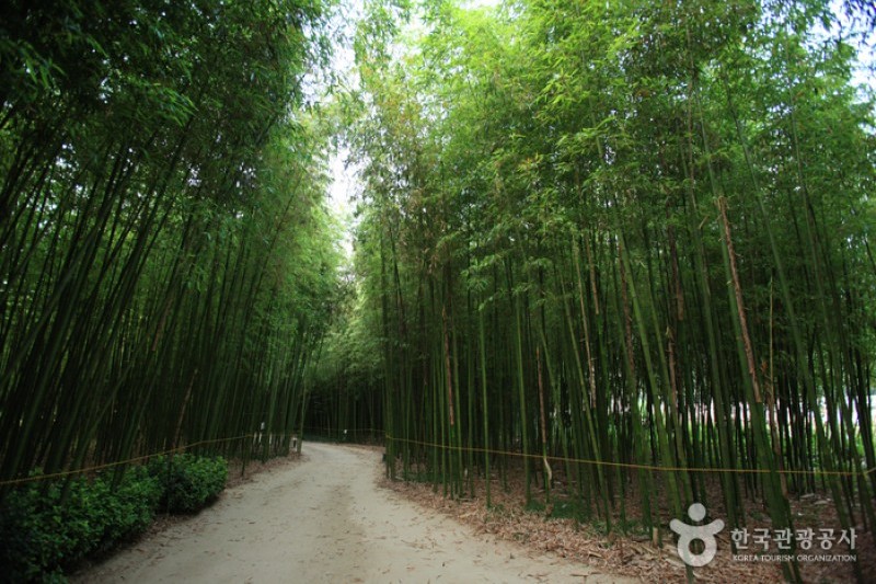 太和江大公園 (9/32)