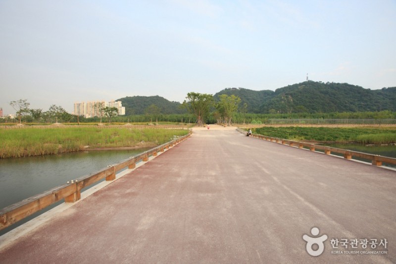 太和江大公園 (13/32)