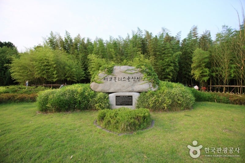 太和江大公園 (16/32)