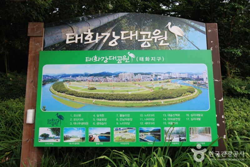 太和江大公園 (19/32)