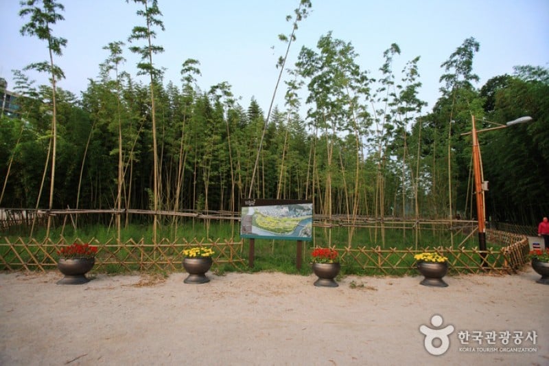 太和江大公園 (20/32)