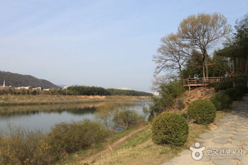 太和江大公園 (23/32)