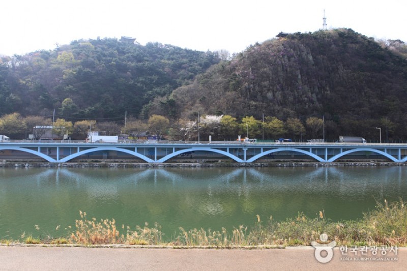 太和江大公園 (24/32)